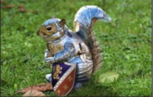 funny-squirrel-in-armour