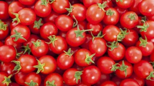 Los tomates aparecen como comidas simples, pero son pequeñas vistos a la belleza de la naturaleza